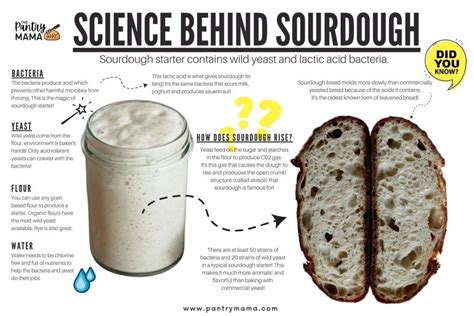 Is sourdough bread better for gluten intolerance